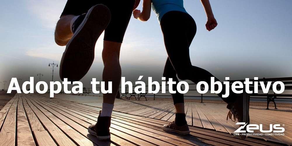 Cápsula 6 + Cursos Cápsula 6 + Cursos